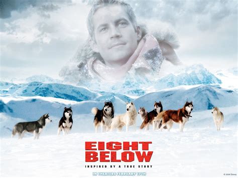 Eight Below Photos